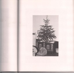 Cella Weihnachtsbaume 2.jpg