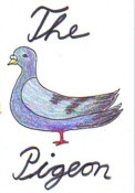 Geiger (Thomas) Die Taube The Pigeon
