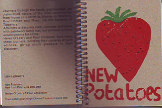 New Potatoes: New
      Irish Paintwork 2002-2004