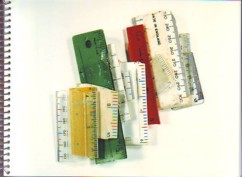 Bellingham Approximate Increments.JPG
