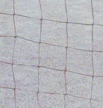 Johannessen Connections.JPG