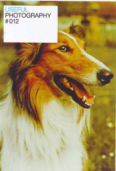 Kessels et al. Useful Photography #012.JPG
