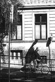 Kowald Almanach Der 365 Tage Am Ort