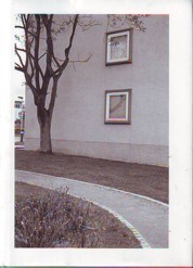 Kurtz Haus, Weg, Baum.JPG