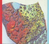 Of Colour In Craft.JPG