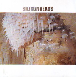 Schloen Silikonheads.JPG