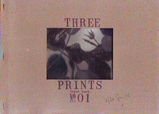 Surek Three
        Prints.JPG