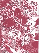 Vanoli Searching For Brautigan.jpg