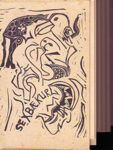 Visser Sexbaekur