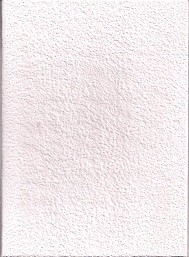 Vissers white book.jpg