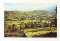 Williams Catgut And Blossom Jonathan Williams In England