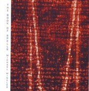 Winkler The Book Of Spells.jpg
